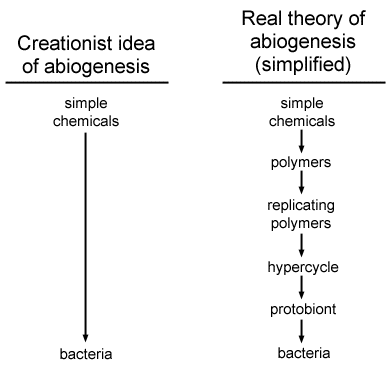 [Two views of abiogenesis]