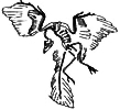 Berlin Specimen of Archaeopteryx