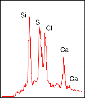 Energy Dispersive Spectrometry of the 'amorphous body'