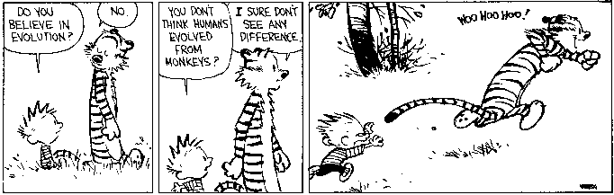 Calvin and Hobbes cartoon